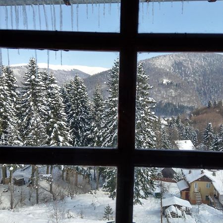 Grandpa's hidden crib, 6 bedroom, pet friendly Sinaia Eksteriør billede