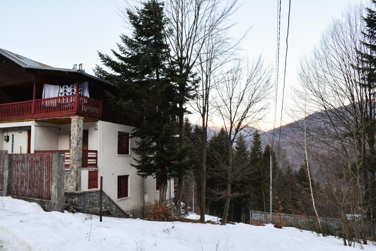 Grandpa's hidden crib, 6 bedroom, pet friendly Sinaia Eksteriør billede