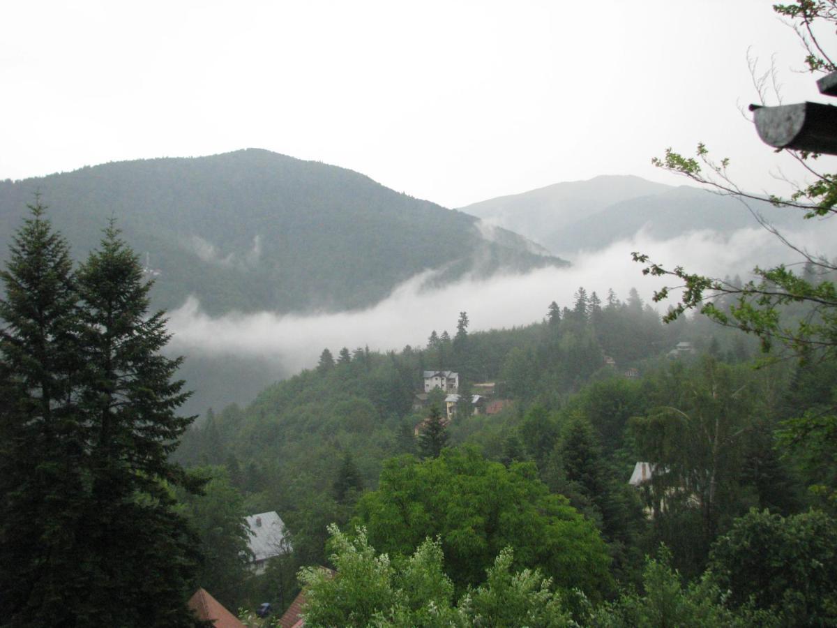 Grandpa's hidden crib, 6 bedroom, pet friendly Sinaia Eksteriør billede