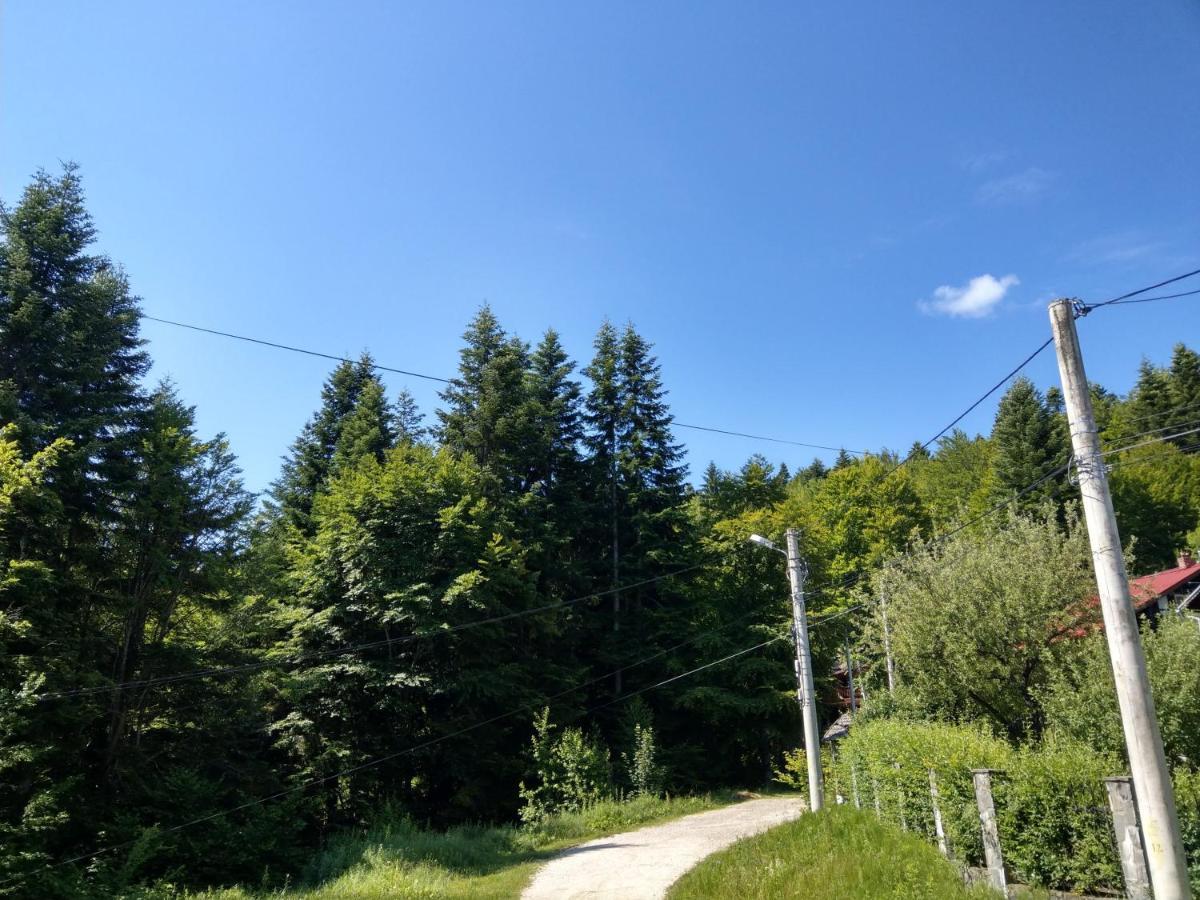 Grandpa's hidden crib, 6 bedroom, pet friendly Sinaia Eksteriør billede