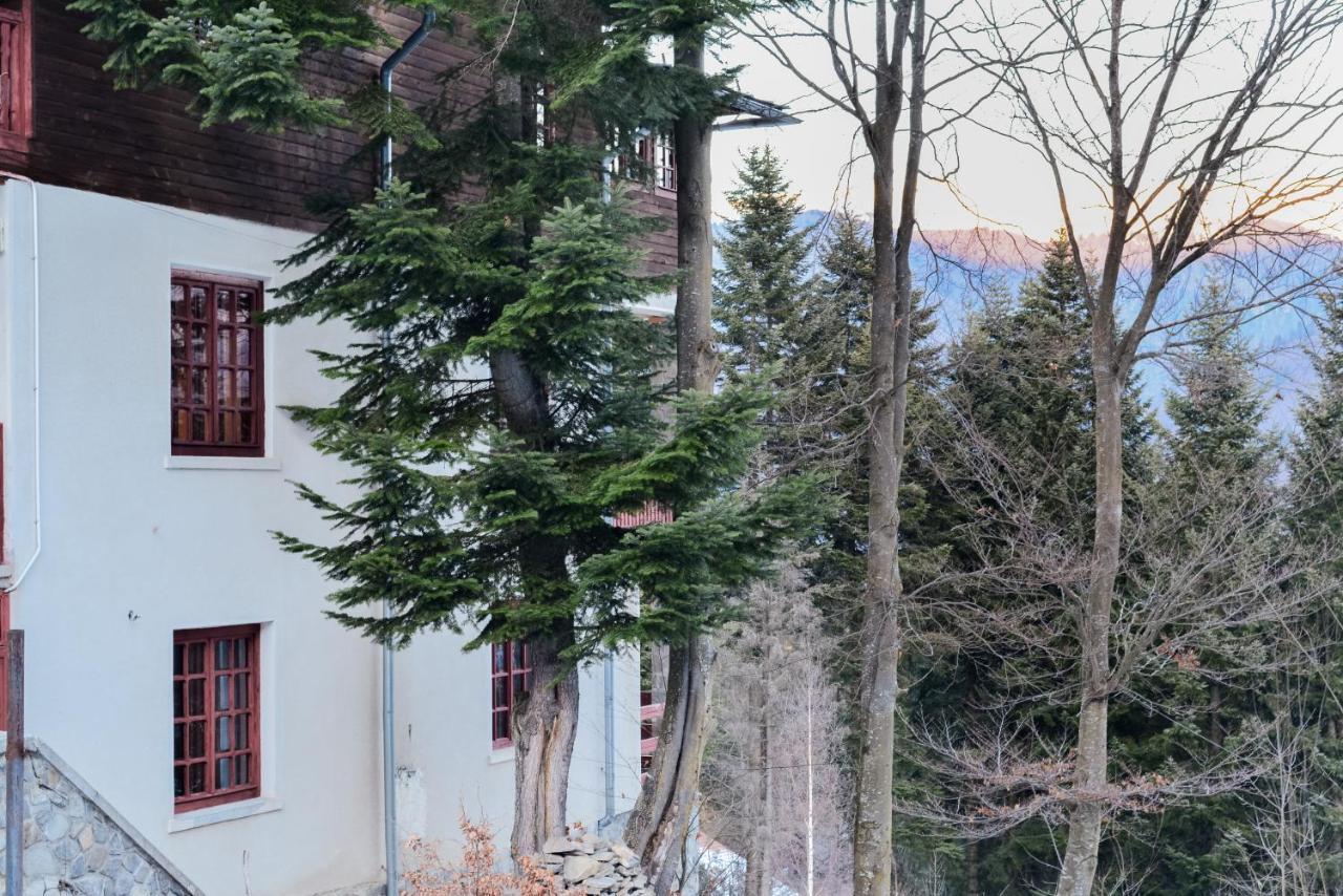 Grandpa's hidden crib, 6 bedroom, pet friendly Sinaia Eksteriør billede