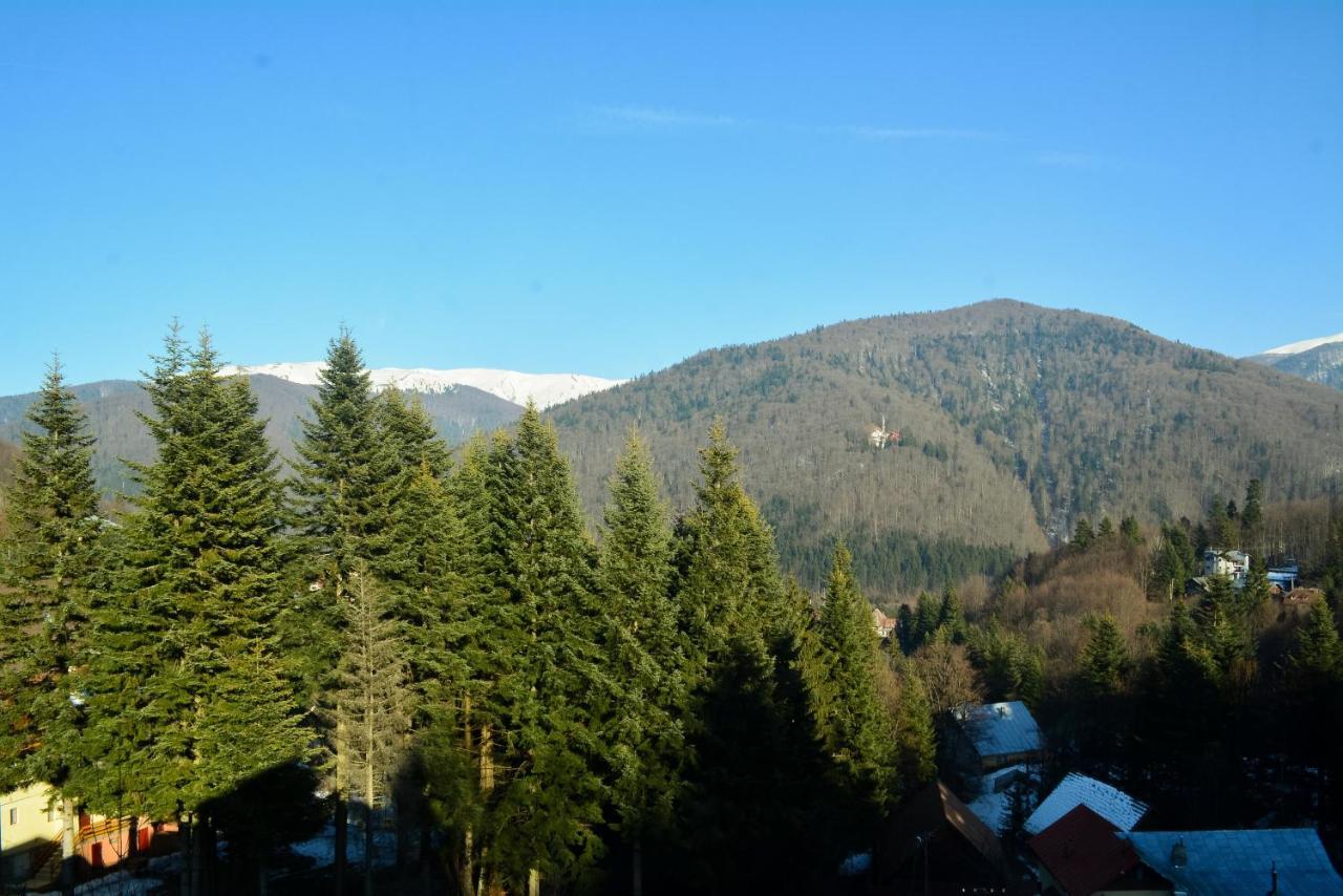 Grandpa's hidden crib, 6 bedroom, pet friendly Sinaia Eksteriør billede