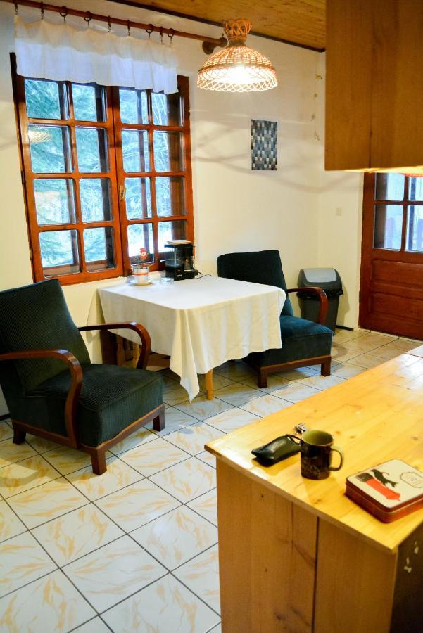 Grandpa's hidden crib, 6 bedroom, pet friendly Sinaia Eksteriør billede