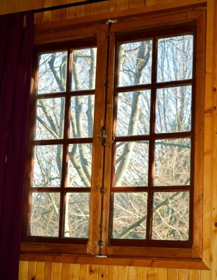 Grandpa's hidden crib, 6 bedroom, pet friendly Sinaia Eksteriør billede